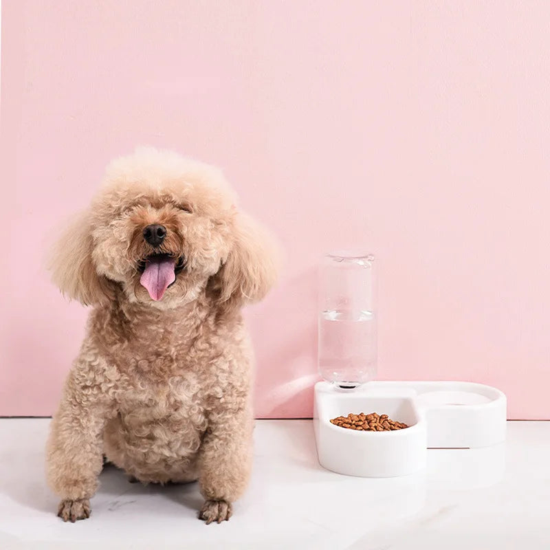 Tigela dupla para cães e gatos - Conjunto de tigelas para animais de estimação e comida, tigela de alimentação para animais de estimação adequada para gatos e cães pequenos